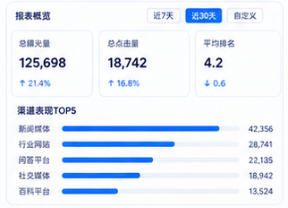 GEO数据监测分析报表预览